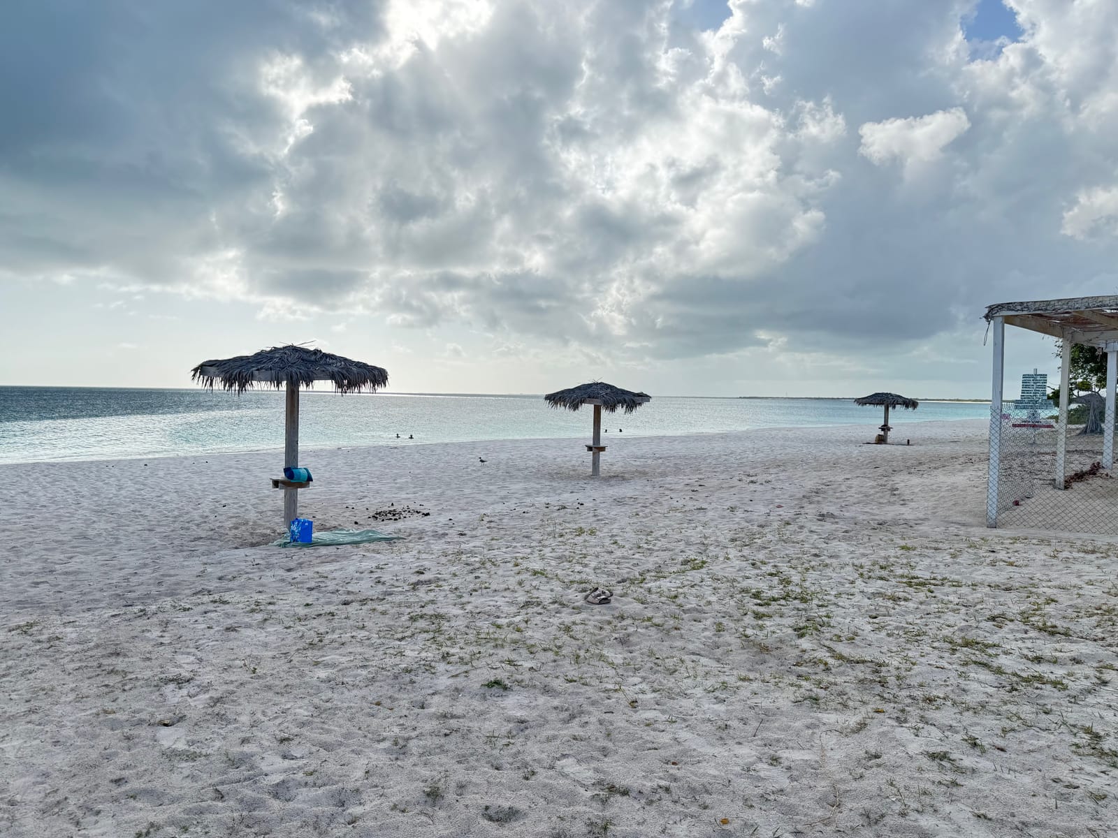 Pale pink sand and an empty shoreline on Barbuda