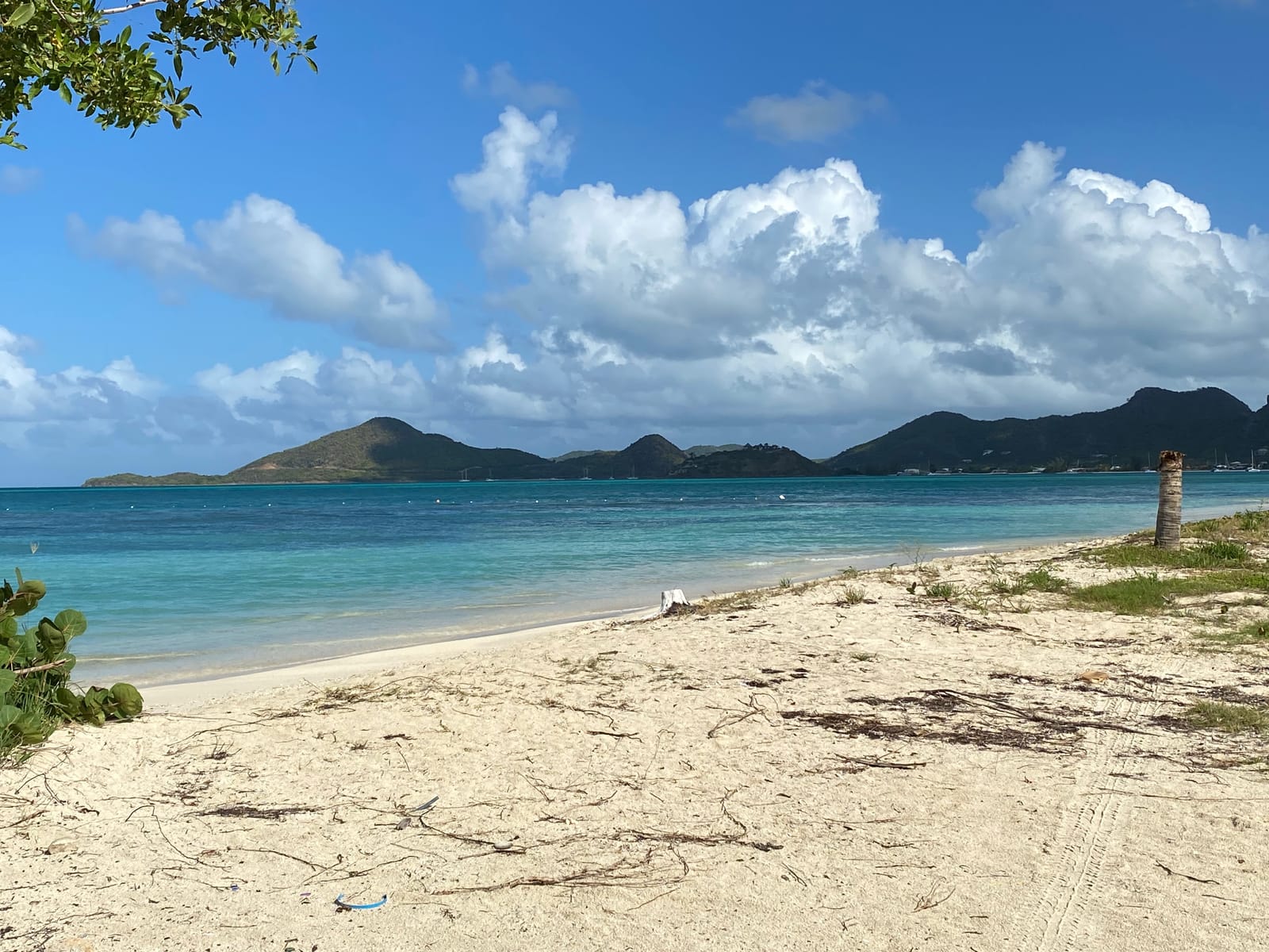 Palm-shaded sand and calm turquoise water at Ffryes Beach on Antigua’s west coast