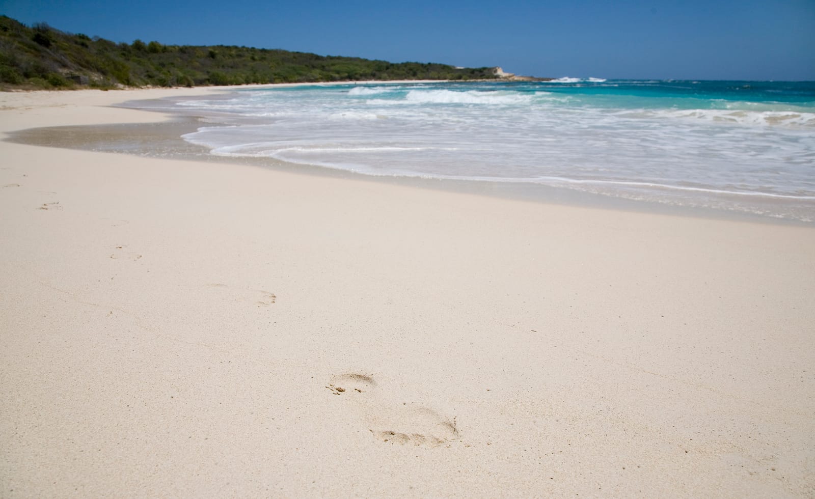 The crescent-shaped sand and turquoise water of Half Moon Bay, Antigua