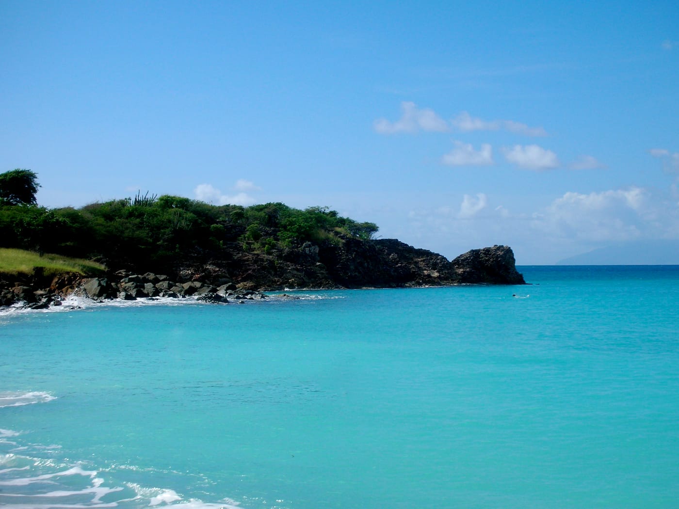 Wide sandy Antigua beach backed by sea grape trees